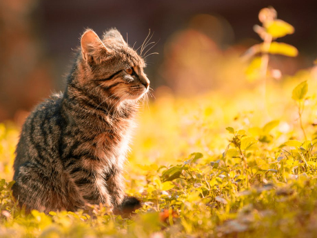 每月50元，給他們一個可以躲雨的歇腳處